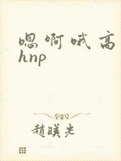 嗯 啊 哦 高hnp