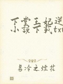 下堂王妃逆袭记小说下载txt封面