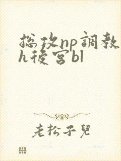 总攻np调教高h后宫bl