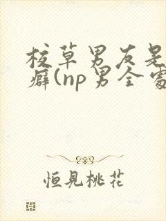 校草男友是绿帽癖(np男全处封面