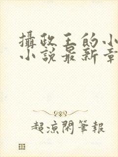 摄政王的小闲妻小说最新章节