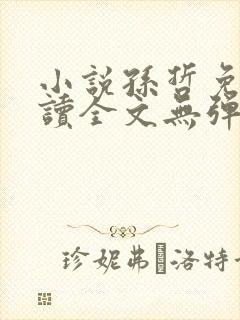 小说孙哲免费阅读全文无弹窗封面