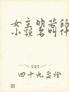 女主明若的穿越小说名叫什么