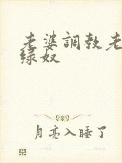 老婆调教老公成绿奴封面