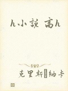 h小说 高h