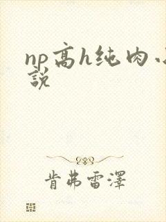 np高h纯肉小说封面