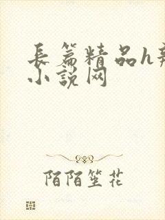 长篇精品h辣文小说网