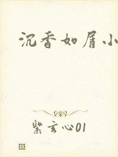 沉香如屑小说