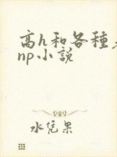 高h和各种老头np小说封面
