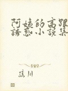 阿姨的高跟丝袜诱惑小说集封面