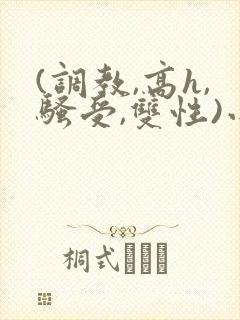 (调教,高h,骚受,双性)小说