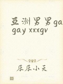 亚洲男男gay gay xxxgv