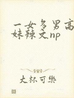 一女多男高h兄妹辣文np