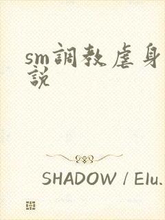 sm调教虐身小说