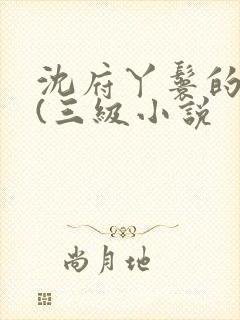 沈府丫鬟的淫史(三级小说