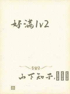 好满1v2