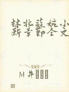 林北苏婉小说最新章节全文阅读
