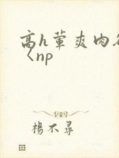 高h荤爽肉欲文〈np封面