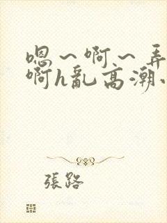 嗯～啊～弄嗯～啊h乱高潮小说