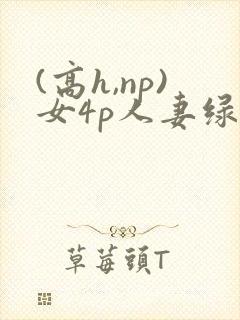 (高h,np)女4p人妻绿帽