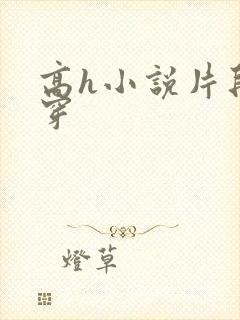 高h小说片段快穿