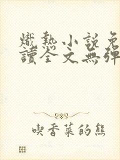 炽热小说免费阅读全文无弹窗