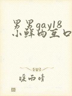 男男gay18小鲜肉互口1