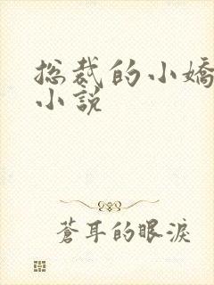 总裁的小娇妻 小说