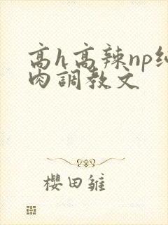 高h高辣np纯肉调教文封面