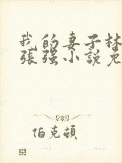 我的妻子林慧茹张强小说免费阅读