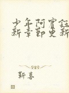 少年阿宾钰慧最新章节更新