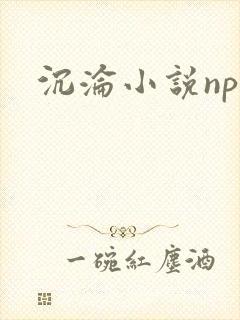 沉沦小说nph