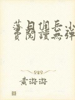 落日佣兵小说免费阅读无弹窗封面