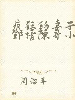 疯狂的妻子林瑶邓倩陈哥小说封面