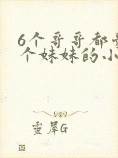 6个哥哥都爱一个妹妹的小说叫什么封面