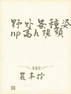 野外各种姿势被np高h视频