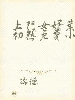 上门女婿叶辰萧初然免费小说