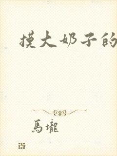 摸大奶子的小说