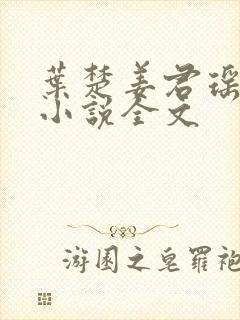 叶楚姜君瑶有声小说全文封面