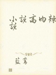 小说高肉辣文小说封面