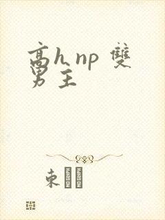 高h np 双男主