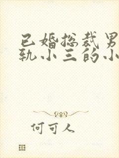 已婚总裁男主出轨小三的小说