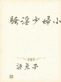 骚淫少妇小说