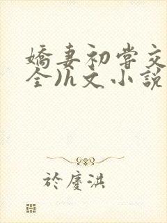 娇妻初尝交换(全)h文小说封面