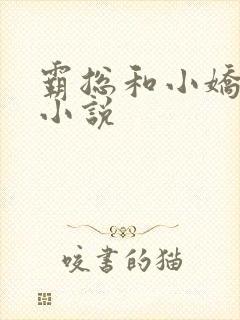 霸总和小娇妻的小说