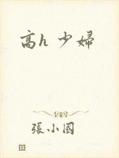 高h 少妇