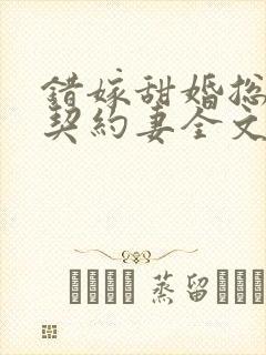 错嫁甜婚总裁的契约妻全文