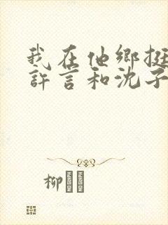 我在他乡挺好的许言和沈子畅结局