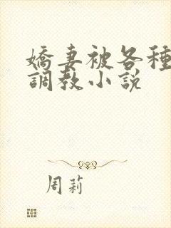 娇妻被各种刑具调教小说封面