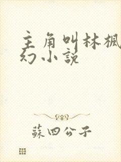 主角叫林枫的玄幻小说